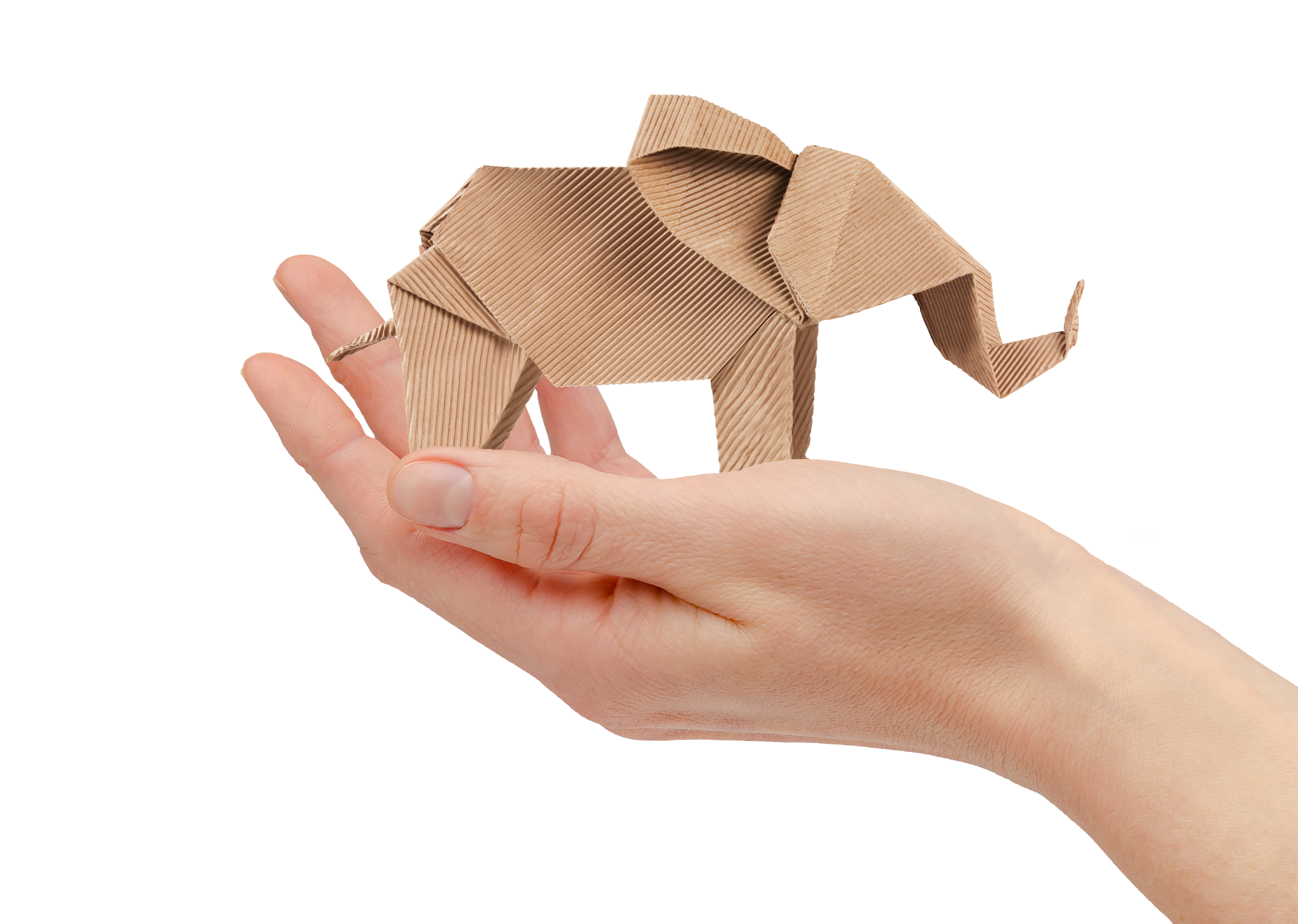 hand holding corrugated cardboard elephant
